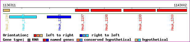 gene map