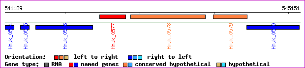 gene map