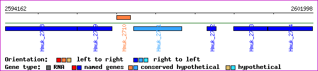 gene map