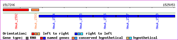 gene map