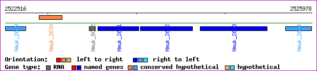 gene map
