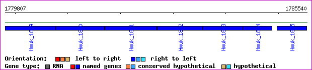 gene map