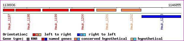 gene map