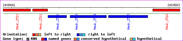 gene map