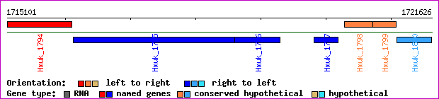 gene map