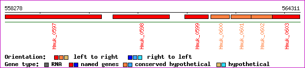 gene map