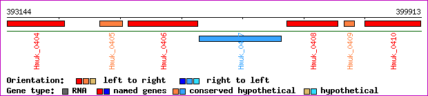 gene map