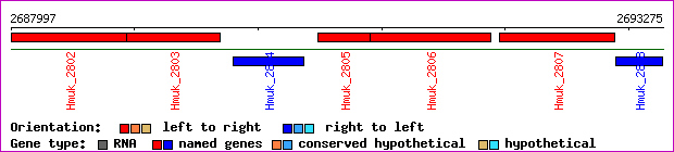 gene map
