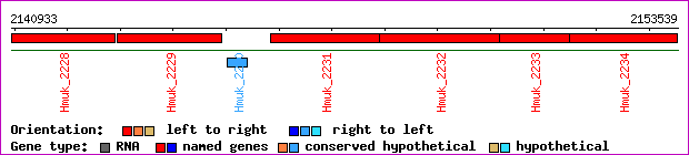 gene map