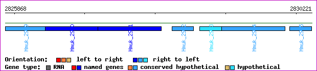 gene map