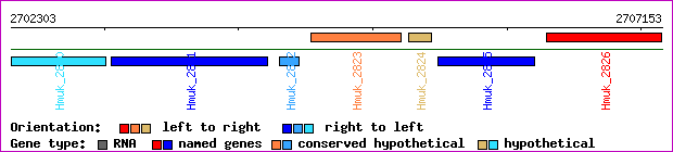 gene map