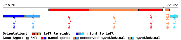 gene map