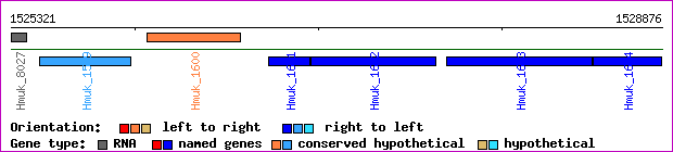 gene map
