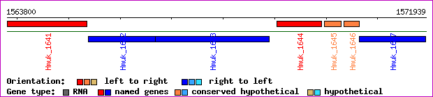 gene map