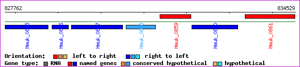 gene map