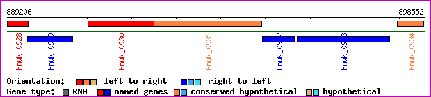 gene map