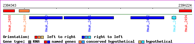 gene map
