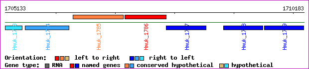 gene map