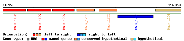gene map