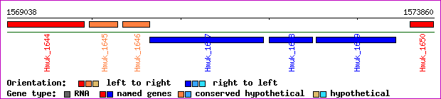 gene map