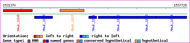gene map