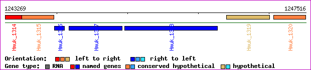 gene map