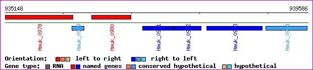 gene map