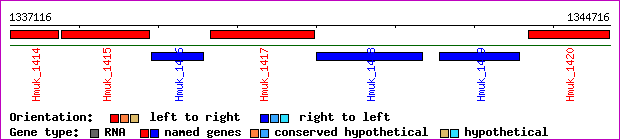 gene map