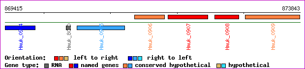 gene map