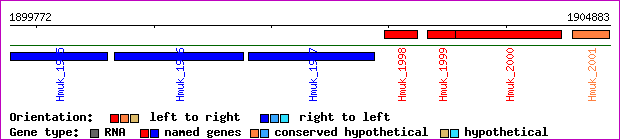 gene map