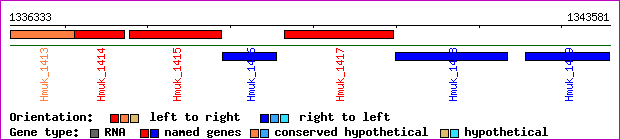 gene map