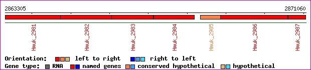 gene map