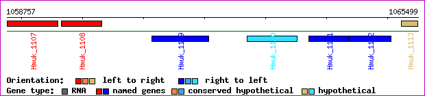 gene map