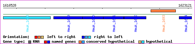 gene map