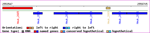 gene map