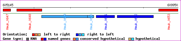 gene map