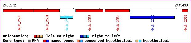 gene map