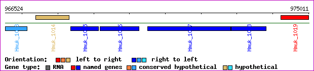 gene map