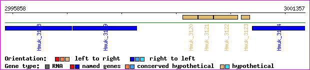 gene map