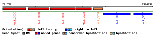 gene map