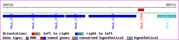 gene map