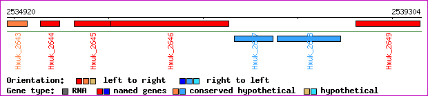 gene map