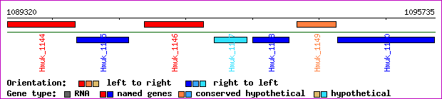gene map
