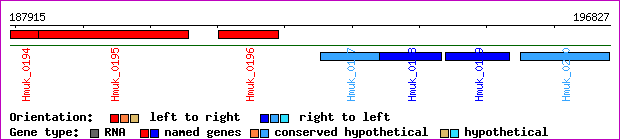 gene map