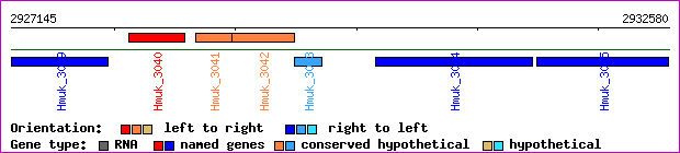 gene map