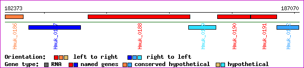 gene map