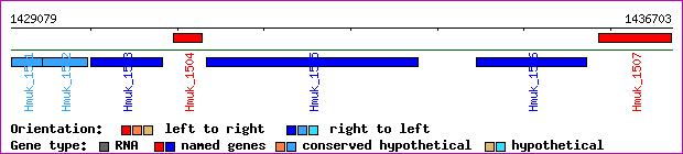 gene map