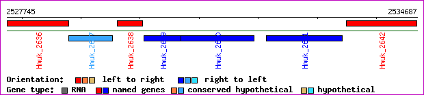 gene map