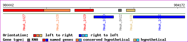 gene map