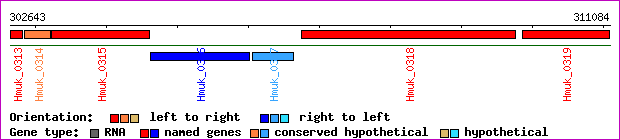 gene map